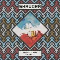 Raizes E Asas, Vol. 1